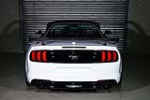 2018 FORD MUSTANG CUSTOM CONVERTIBLE - Misc 1 - 227944