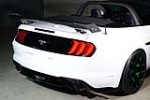 2018 FORD MUSTANG CUSTOM CONVERTIBLE - Misc 4 - 227944