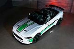 2018 FORD MUSTANG CUSTOM CONVERTIBLE - Side Profile - 227944