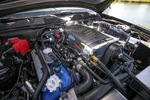 2012 FORD SHELBY GT500 SUPER SNAKE - Engine - 233773