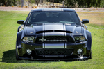 2012 FORD SHELBY GT500 SUPER SNAKE - Misc 1 - 233773