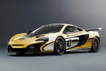 2016 MCLAREN 650S SPRINT RACE CAR - Misc 7 - 235965