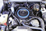 1979 CADILLAC ELDORADO - Engine - 237437