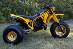 1985 YAMAHA TRI-Z 3-WHEELER - Side Profile - 260733