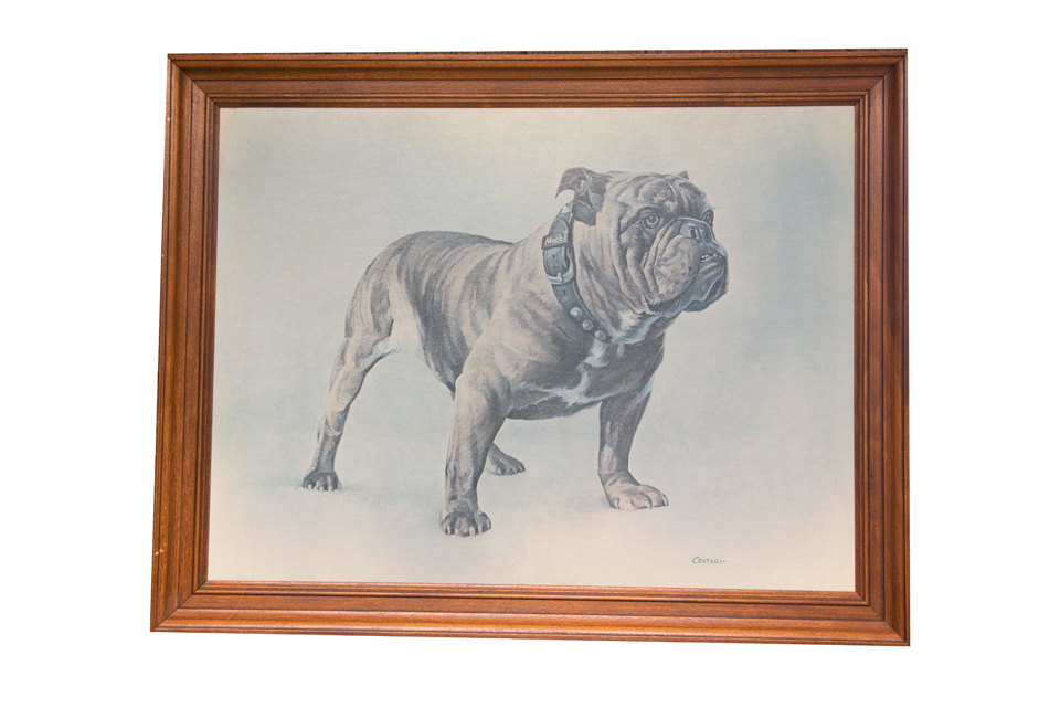 1950 s original mack truck sales bull dog framed print from t https www barrett jackson com archive event item 1950s original mack truck sales bull dog framed print from the mack headquarters in allentown pennsylvania 162878