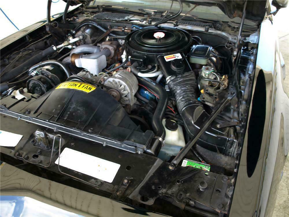 1981 PONTIAC FIREBIRD TRANS AM COUPE - Engine - 113091