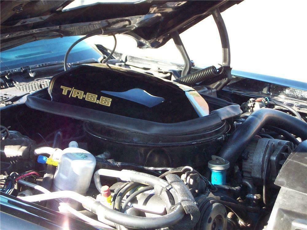 1979 PONTIAC FIREBIRD TRANS AM COUPE - Engine - 117768