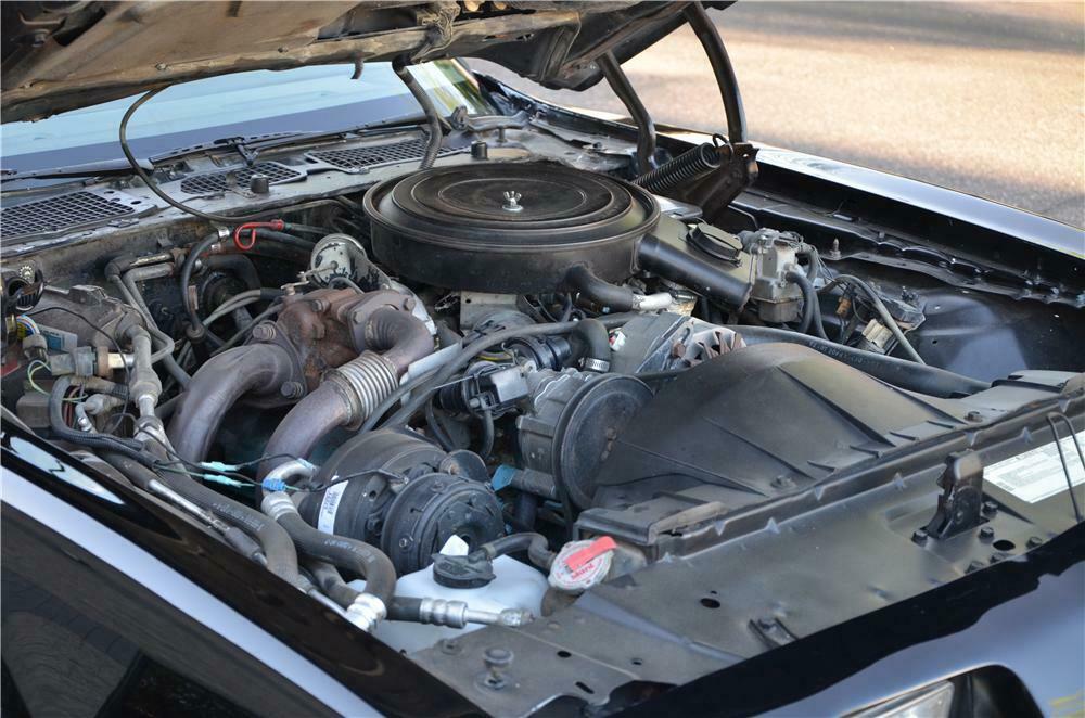 1981 PONTIAC FIREBIRD TRANS AM 2 DOOR COUPE - Engine - 161701