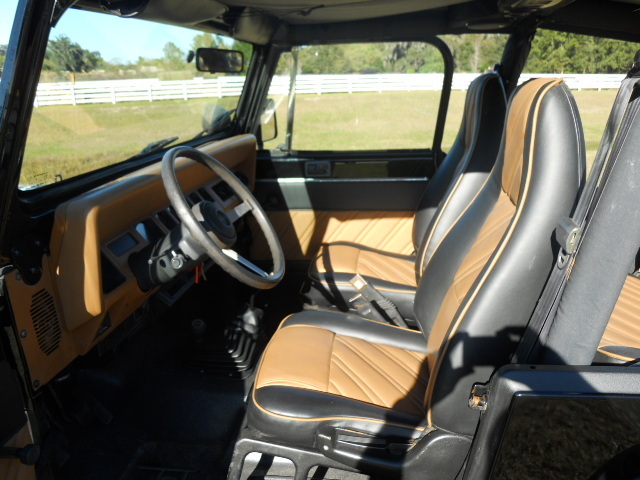 1993 Jeep Wrangler Custom Suv