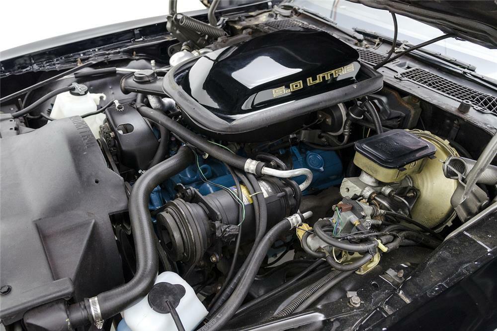 1981 PONTIAC FIREBIRD TRANS AM - Engine - 181080