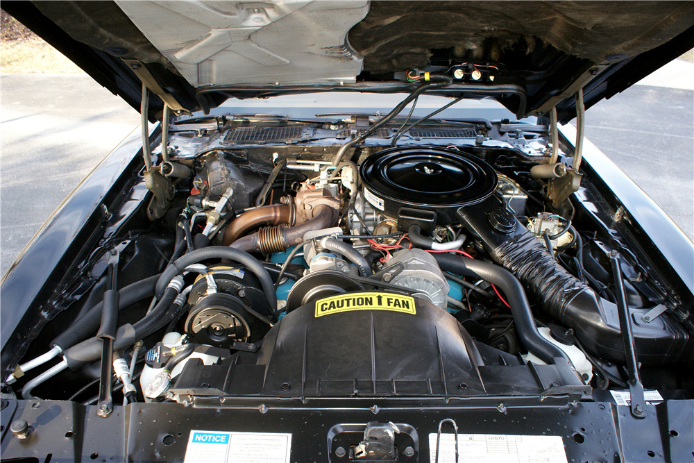 1980 PONTIAC FIREBIRD TRANS AM BANDIT SPECIAL EDITION - Engine - 189190