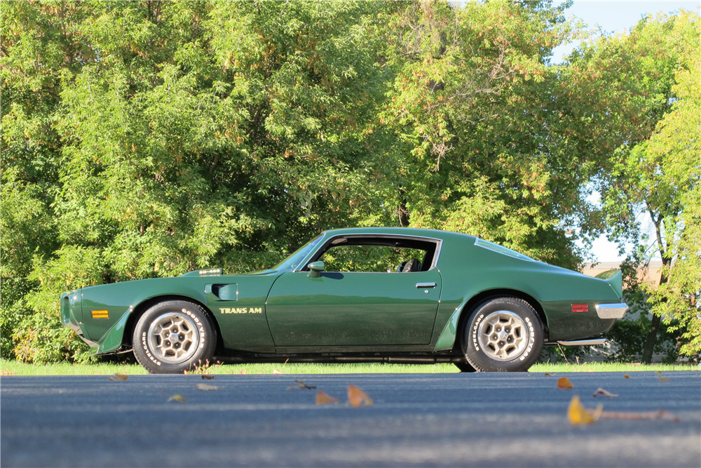 1973 PONTIAC FIREBIRD TRANS AM SUPER DUTY 455 - Side Profile - 190090
