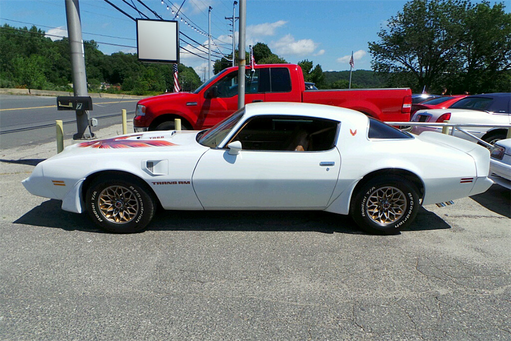 1979 PONTIAC FIREBIRD TRANS AM - Side Profile - 195617