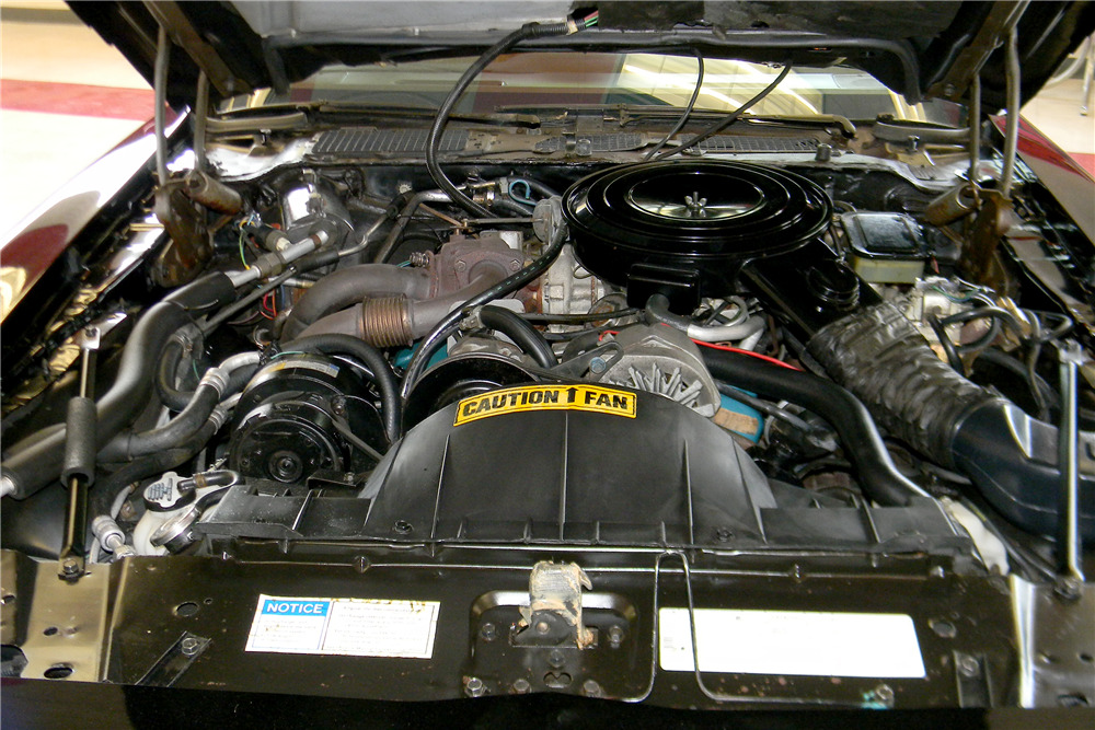 1981 PONTIAC TRANS AM SE BANDIT EDITION - Engine - 196472