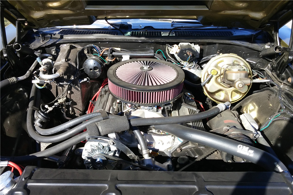 1970 CHEVROLET MALIBU - Engine - 198113
