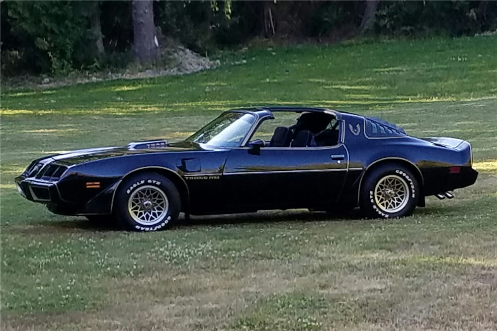 1980 PONTIAC FIREBIRD TRANS AM  - Side Profile - 198393