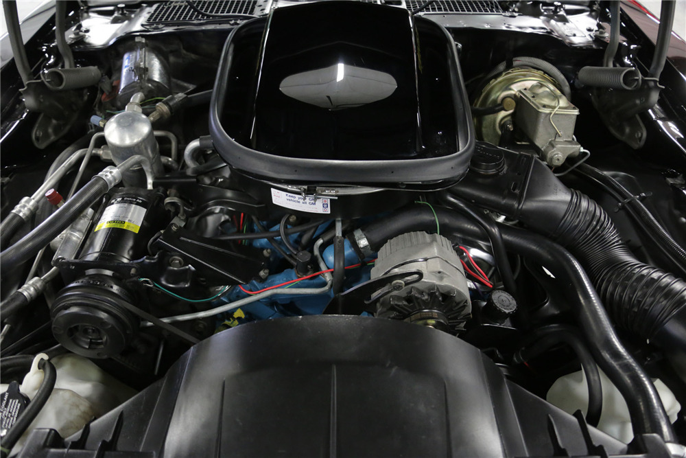 1979 PONTIAC FIREBIRD TRANS AM  - Engine - 199237