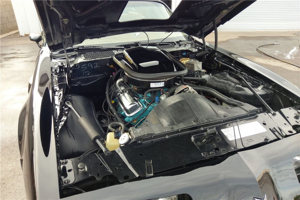 1979 PONTIAC TRANS AM  - Engine - 202320