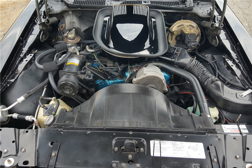 1976 PONTIAC FIREBIRD TRANS AM  - Engine - 202358
