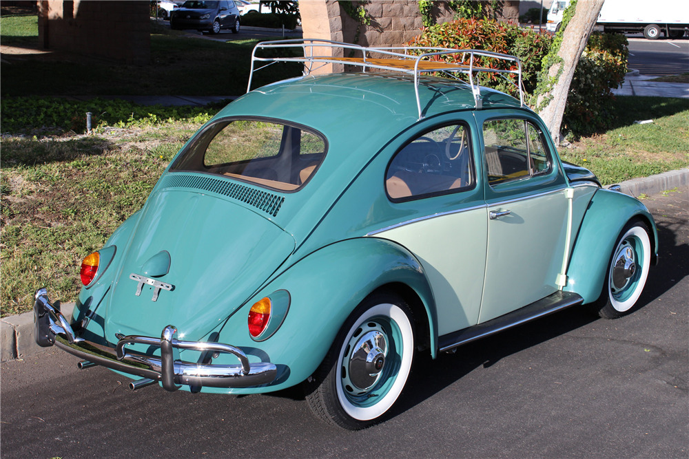 1964 VOLKSWAGEN BEETLE  - Rear 3/4 - 207032