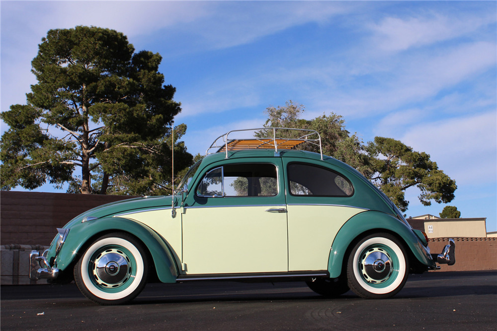 1964 VOLKSWAGEN BEETLE  - Side Profile - 207032