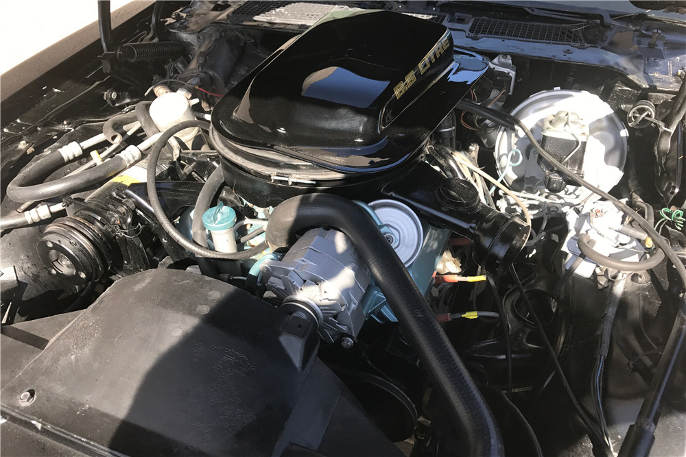 1979 PONTIAC TRANS AM BANDIT EDITION - Engine - 207076