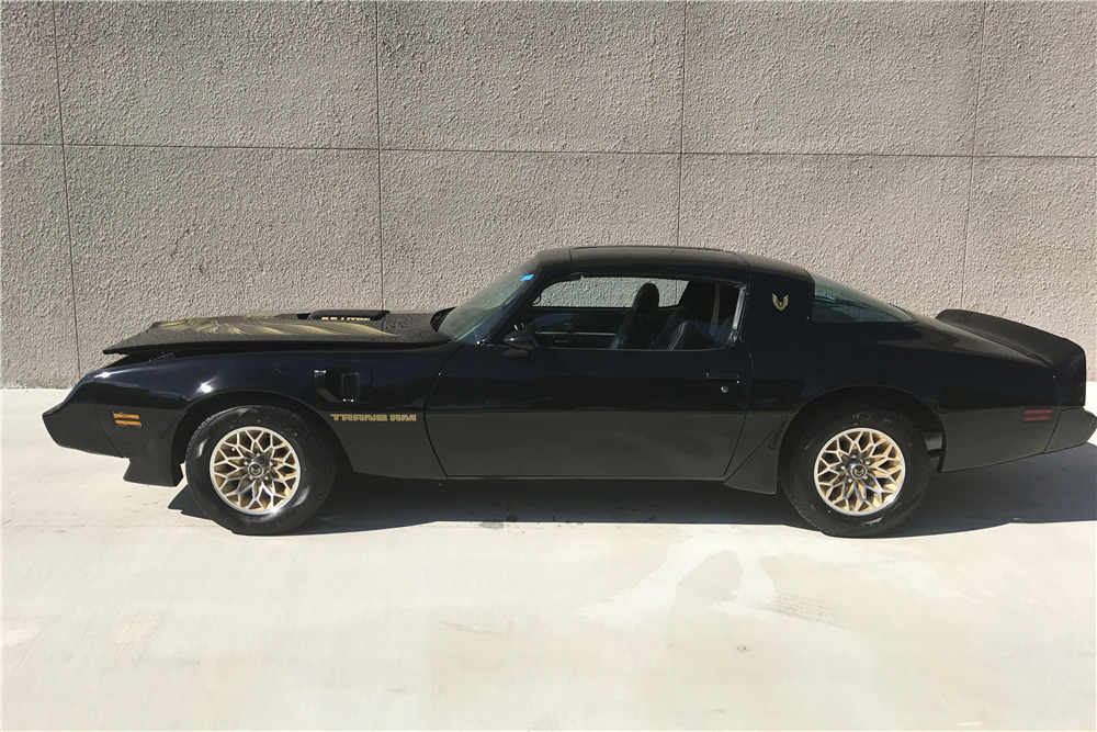 1979 PONTIAC TRANS AM BANDIT EDITION - Side Profile - 207076