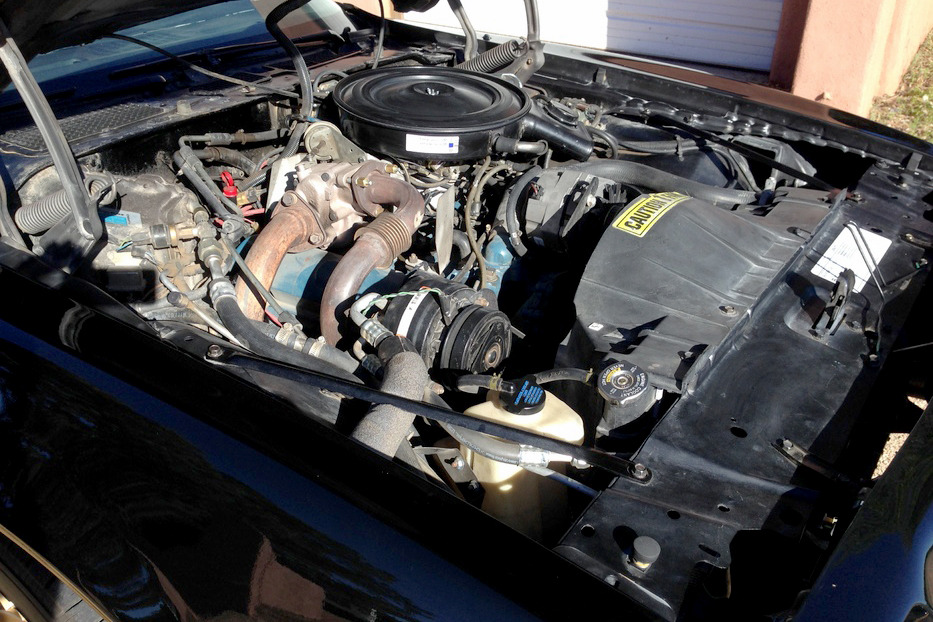 1980 PONTIAC FIREBIRD TRANS AM WS6 - Engine - 210284