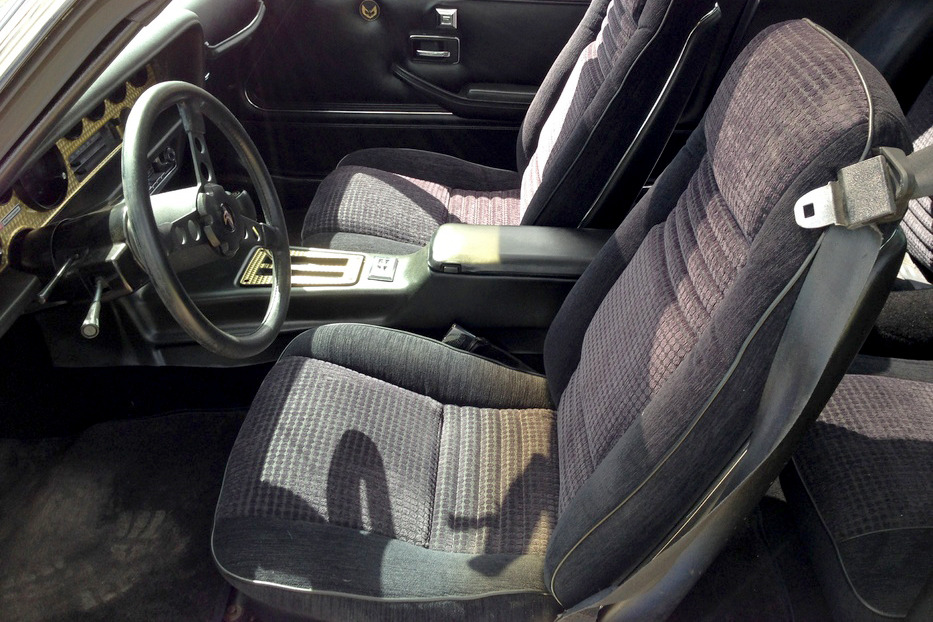 1980 PONTIAC FIREBIRD TRANS AM WS6 - Interior - 210284