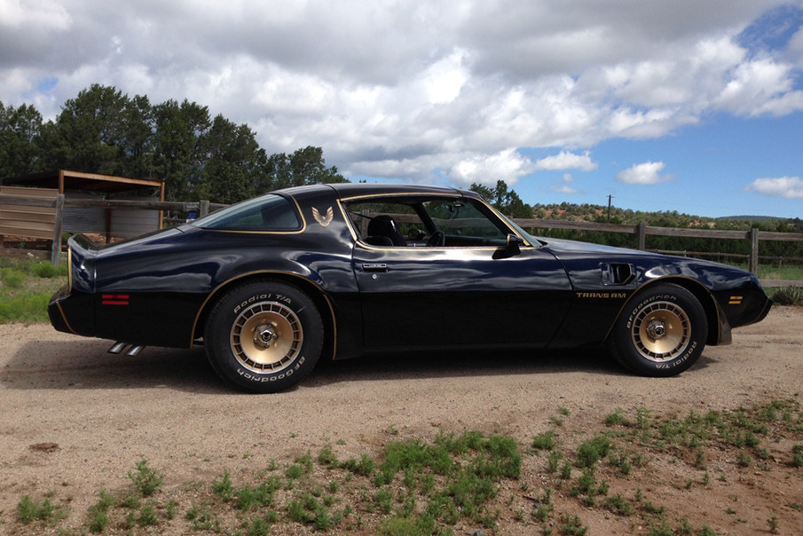 1980 PONTIAC FIREBIRD TRANS AM WS6 - Side Profile - 210284