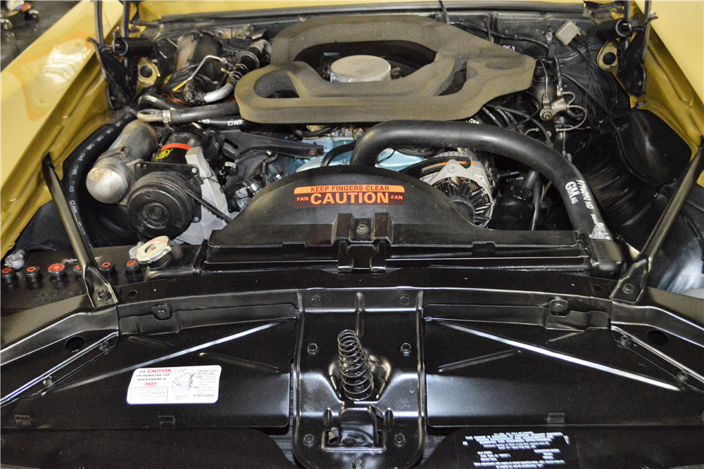 1969 PONTIAC FIREBIRD - Engine - 213017