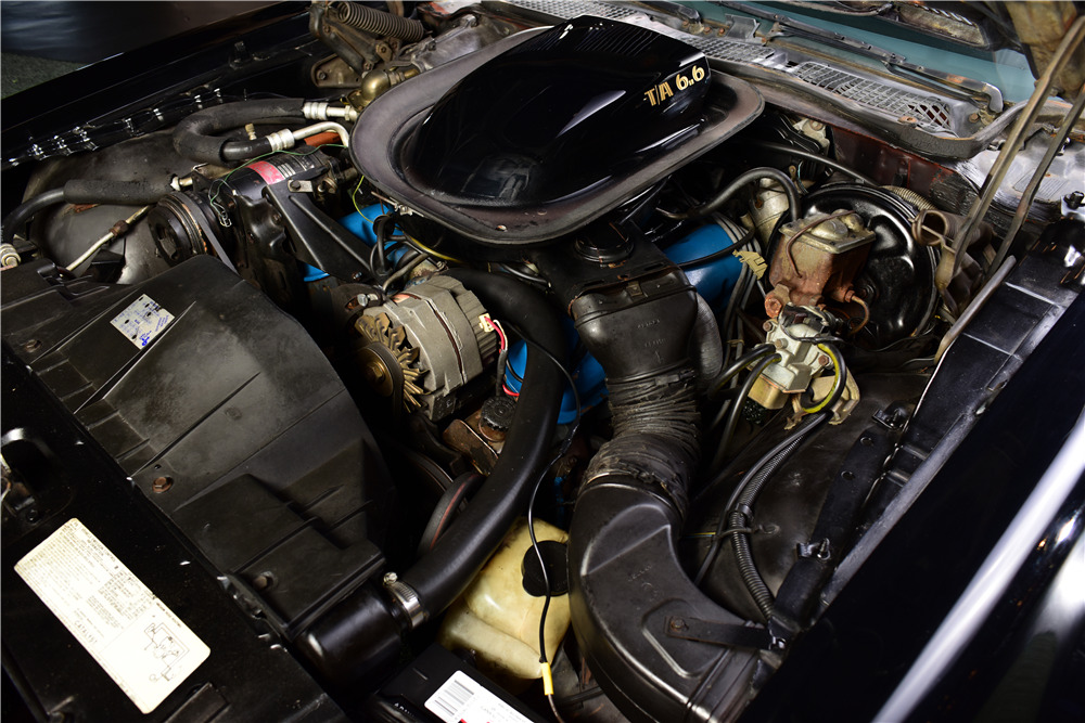 1976 PONTIAC FIREBIRD TRANS AM - Engine - 217733