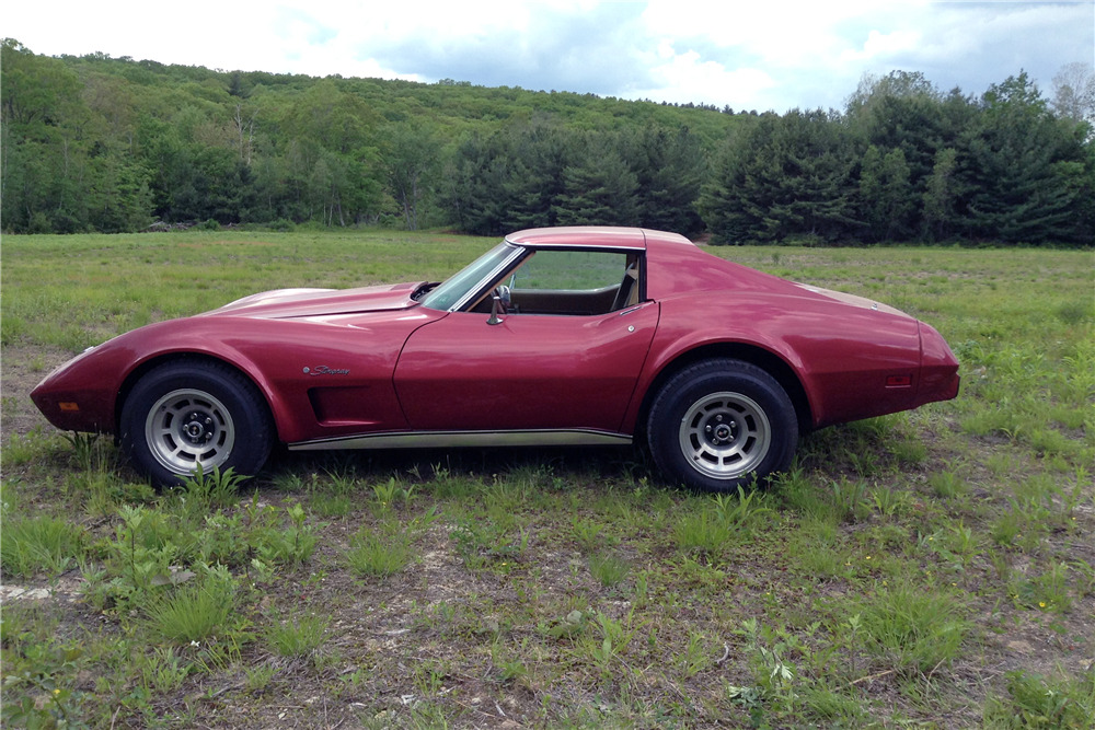 1976 CHEVROLET CORVETTE T-TOP COUPE - Side Profile - 219039