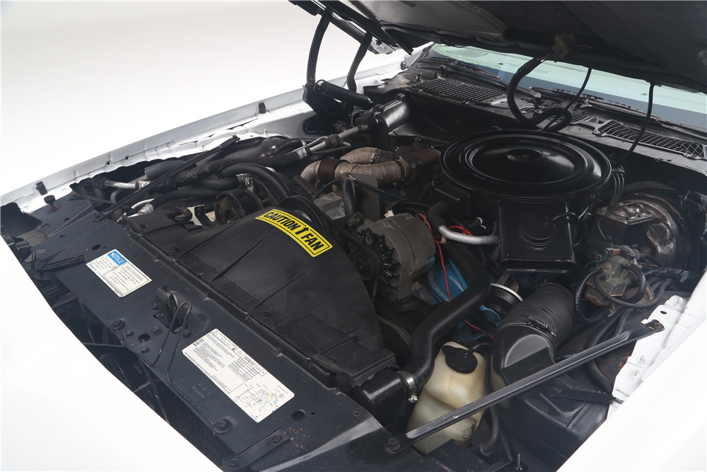 1980 PONTIAC TRANS AM INDY PACE CAR - Engine - 219136