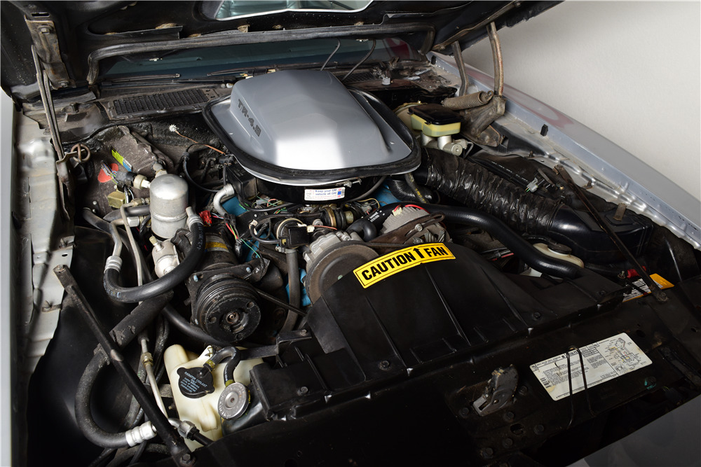 1981 PONTIAC FIREBIRD TRANS AM - Engine - 220139
