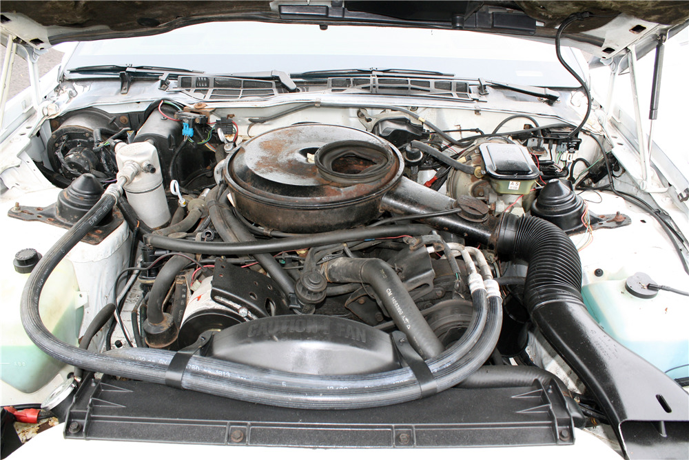 1984 PONTIAC FIREBIRD TRANS AM - Engine - 220206