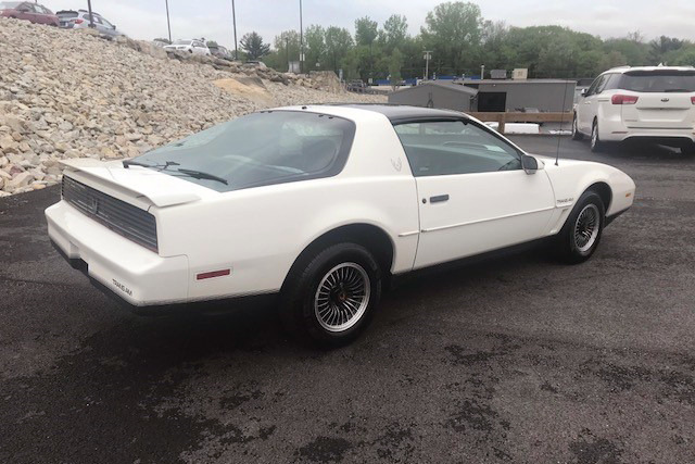 1984 PONTIAC FIREBIRD TRANS AM - Rear 3/4 - 220206