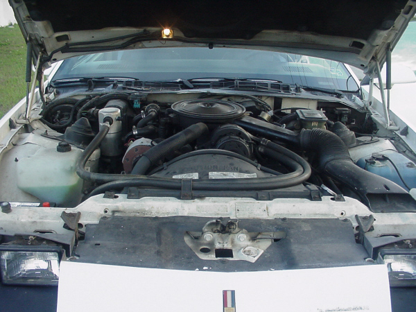 1984 CHEVROLET CAMARO BERLINETTA - Engine - 22244