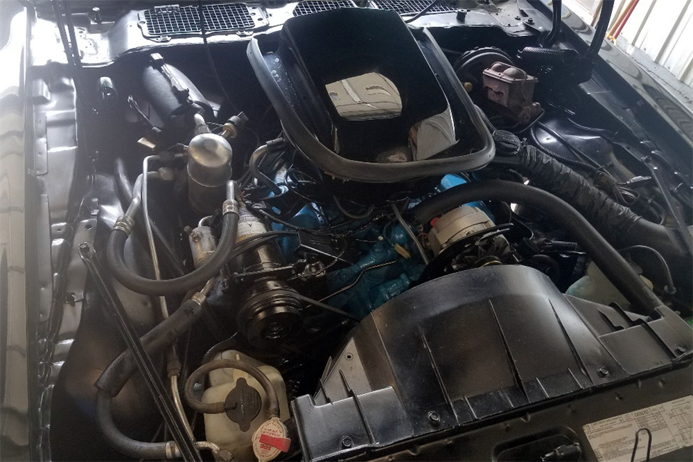 1979 PONTIAC FIREBIRD TRANS AM - Engine - 224225