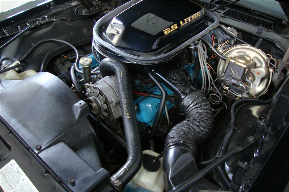 1979 PONTIAC FIREBIRD TRANS AM BANDIT EDITION - Engine - 224711