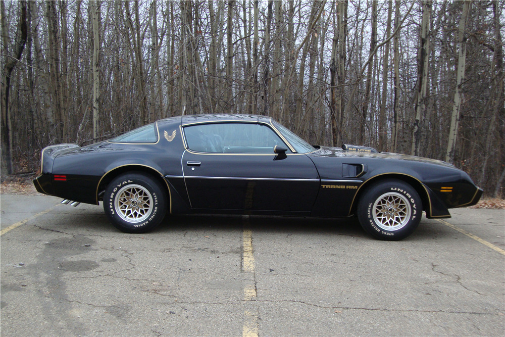 1979 PONTIAC FIREBIRD TRANS AM BANDIT EDITION - Side Profile - 224711