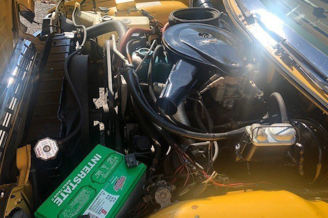1975 AMC PACER - Engine - 225244