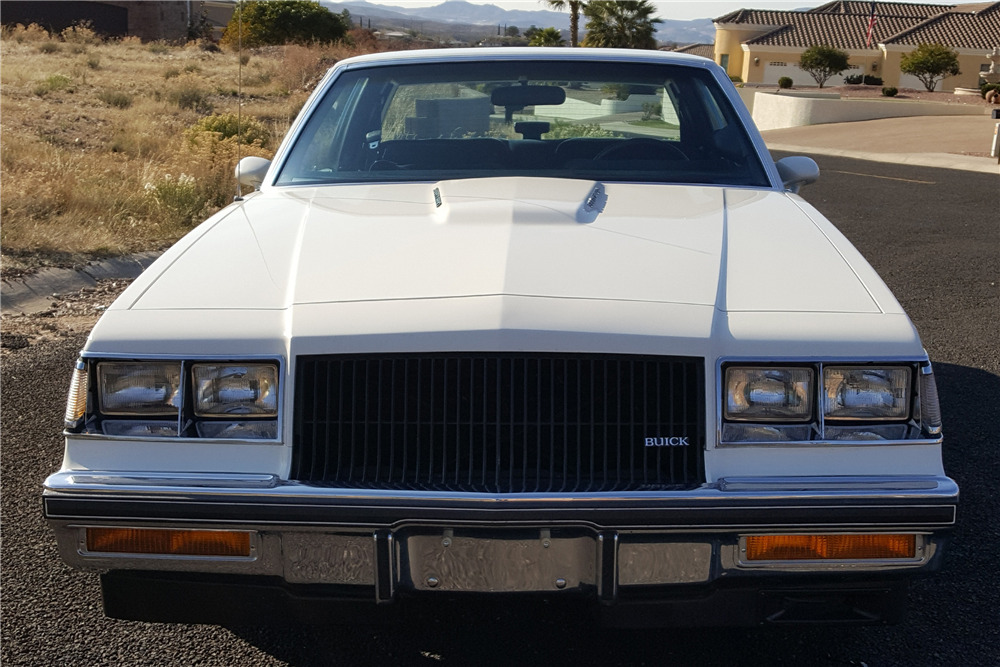 1987 BUICK REGAL LIMITED - Misc 1 - 225608