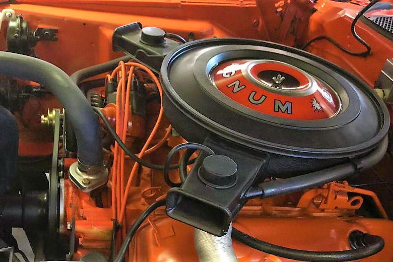1971 DODGE SUPER BEE - Engine - 226861