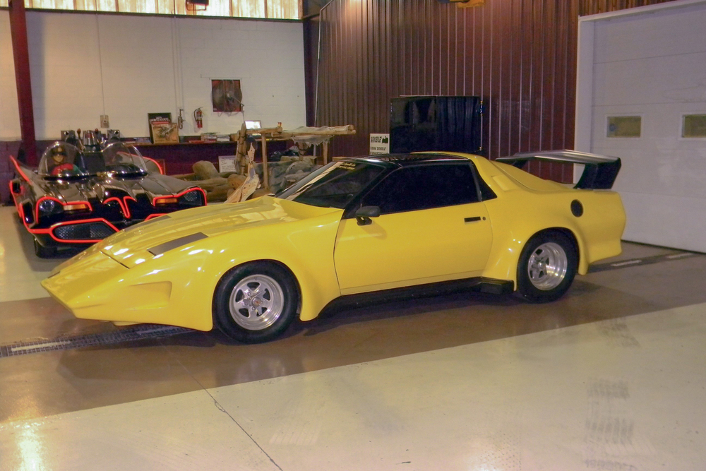 1988 PEGASUS CUSTOM TRANS AM "BL STRYKER" - Side Profile - 229183