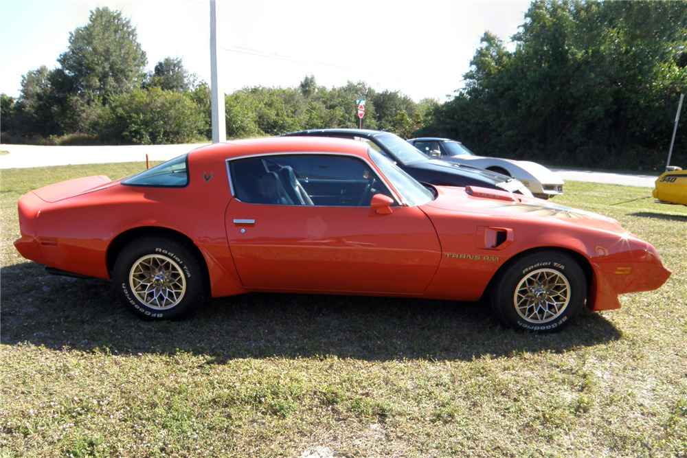 1980 PONTIAC FIREBIRD TRANS AM - Side Profile - 229828