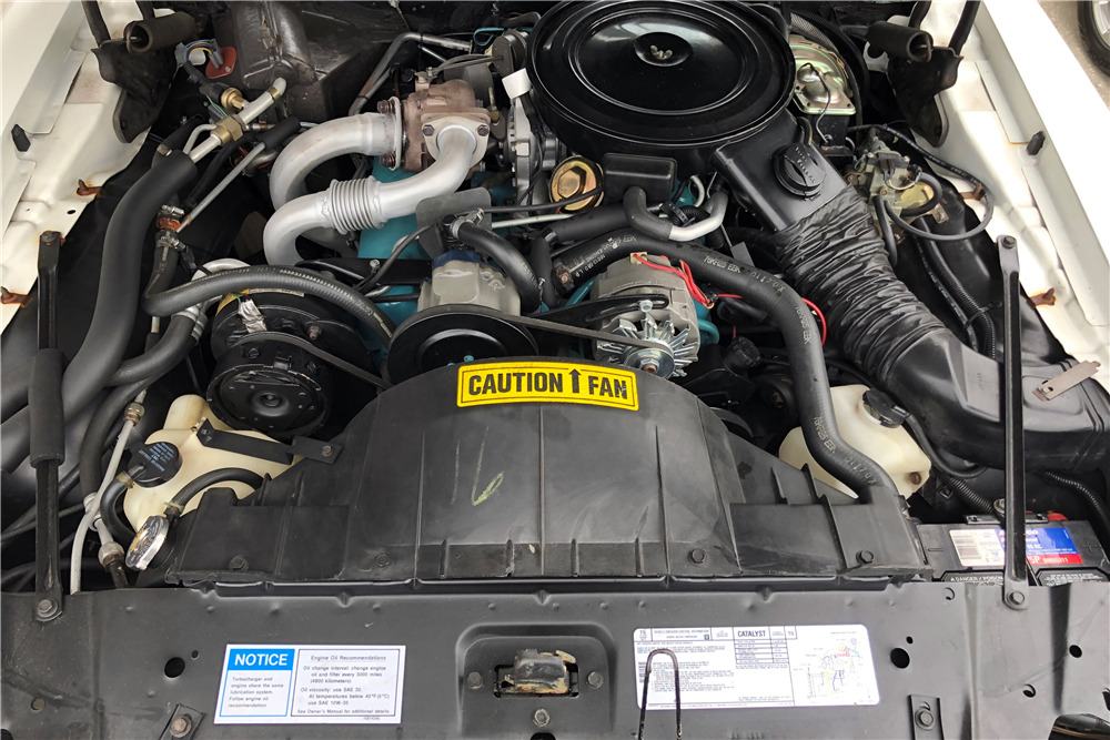 1980 PONTIAC FIREBIRD TRANS AM PACE CAR - Engine - 230119
