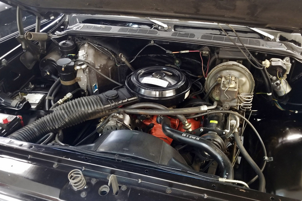 1975 CHEVROLET SILVERADO PICKUP - Engine - 230936