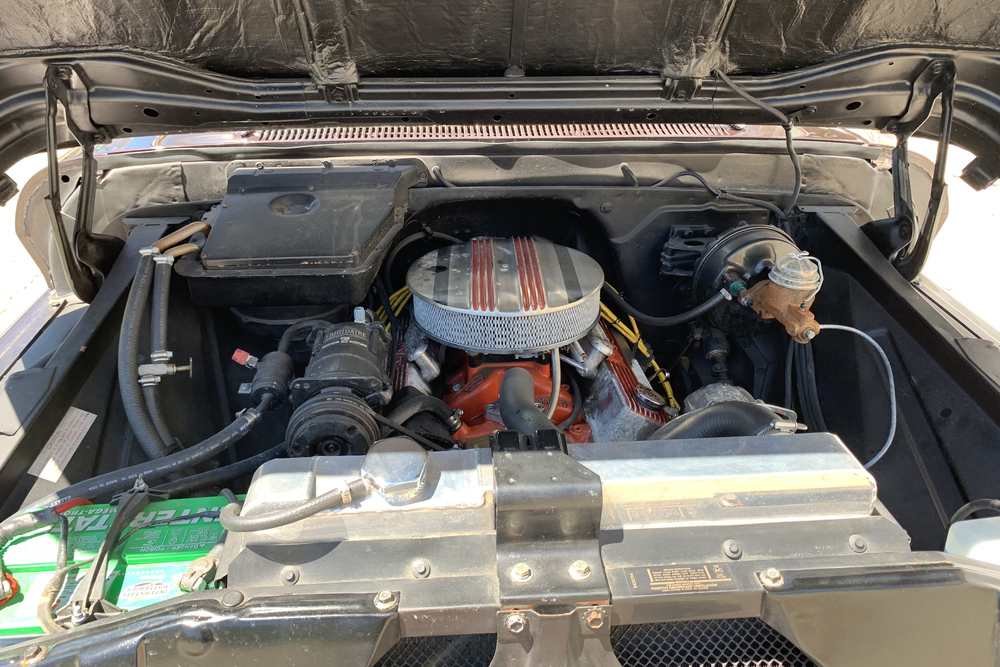 1965 CHEVROLET C10 PICKUP - Engine - 231238