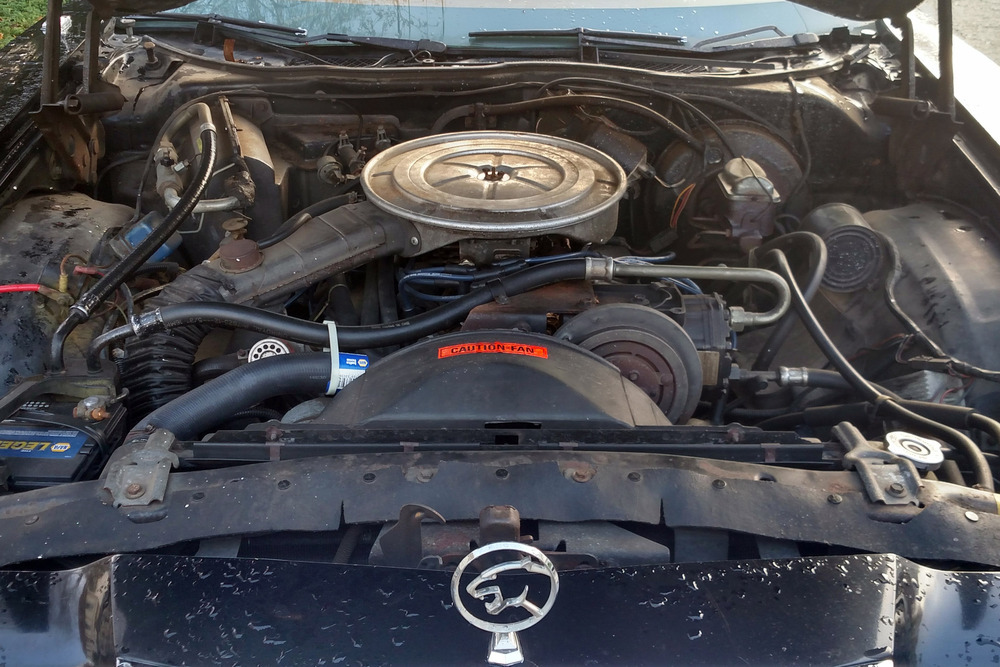 1977 MERCURY COUGAR - Engine - 231825